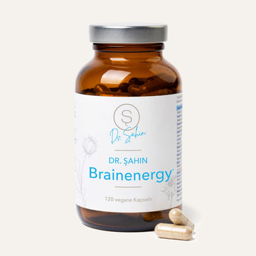Dr. Şahin Brainenergy*